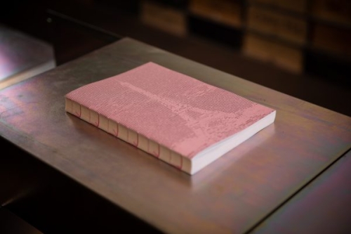 BELLE VUE – Contrechamp d’un paysage artistique luxurieux