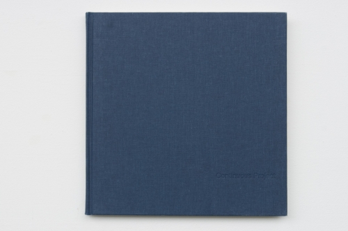 Continuous Project #8 The final issue