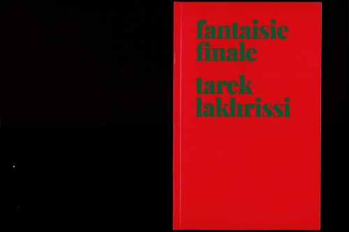 Tarek Lakhrissi, Fantaisie Finale