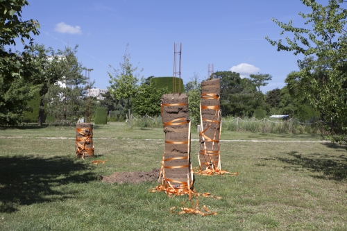 Le nom du monde est forêt