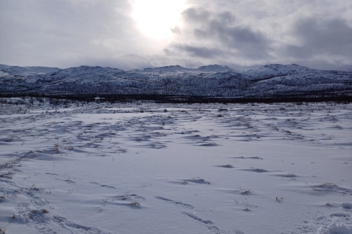 Permachange > 2026-2030