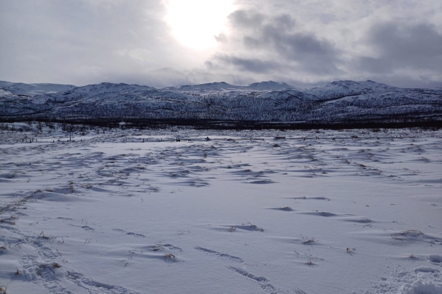 Permachange > 2026-2030